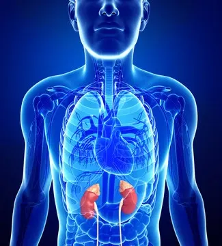 Abdominal aortic aneurysm (AAA)